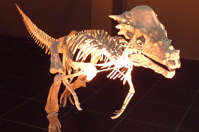 dinopolisTeruel